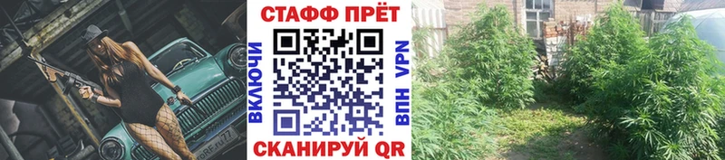 Продажа наркотиков Зеленоградск COCAIN  ГЕРОИН  mega маркетплейс  МЕФ  Альфа ПВП  ГАШИШ 