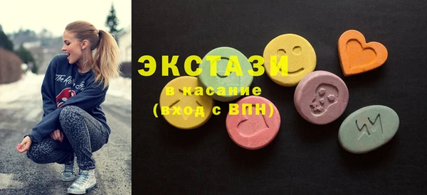 дживик Ельня