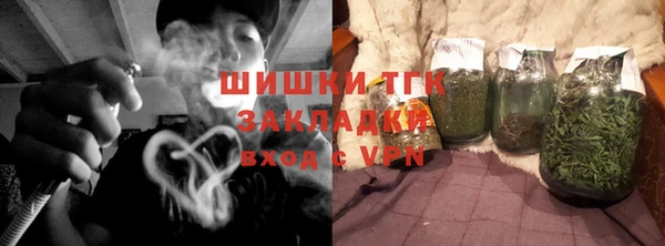 дживик Ельня