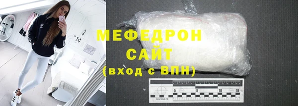 дживик Ельня