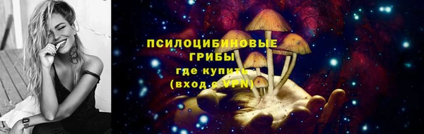 дмт Елабуга
