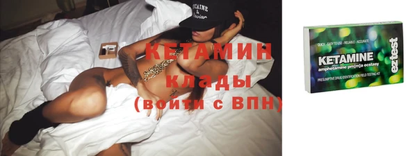 дживик Ельня