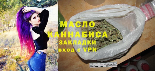 дживик Ельня
