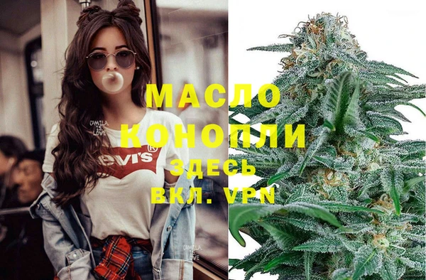 дмт Елабуга