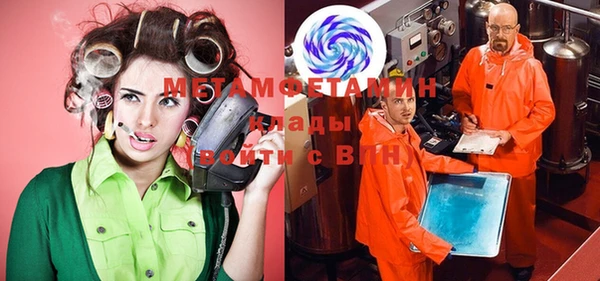 дживик Ельня