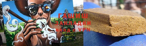 дживик Ельня