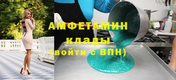дживик Ельня