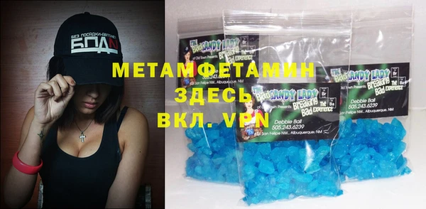 дживик Ельня