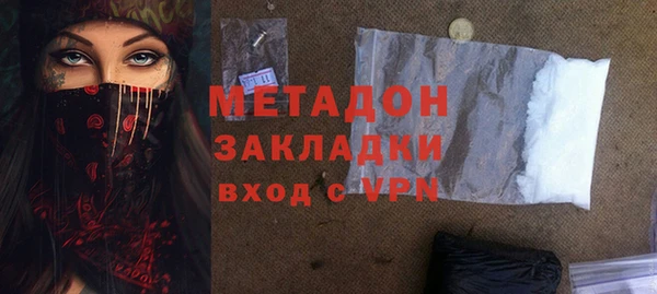 дживик Ельня