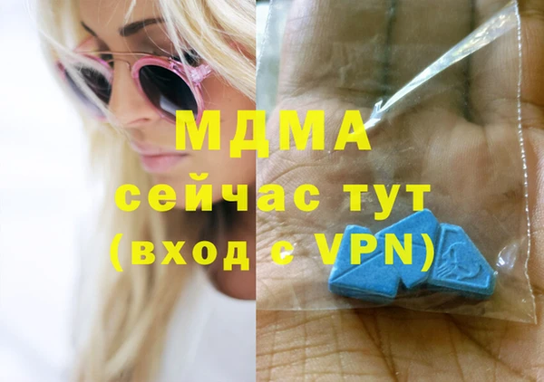 дживик Ельня