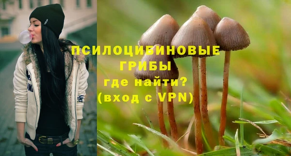 спиды Елизово
