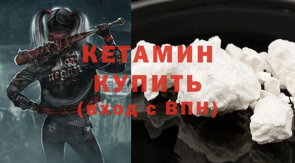 дживик Ельня