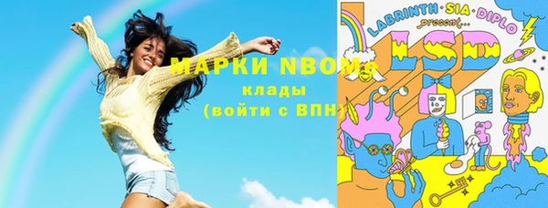 дживик Ельня