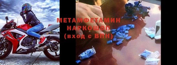 дживик Ельня