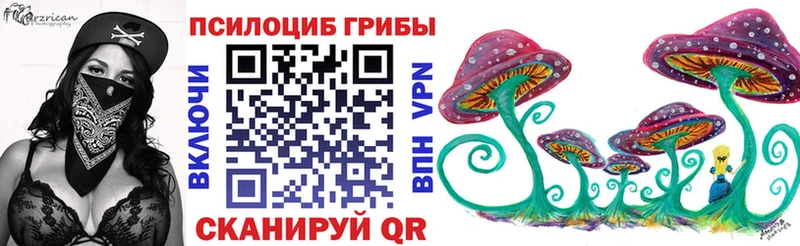 Псилоцибиновые грибы MAGIC MUSHROOMS  мега рабочий сайт  Зеленоградск 